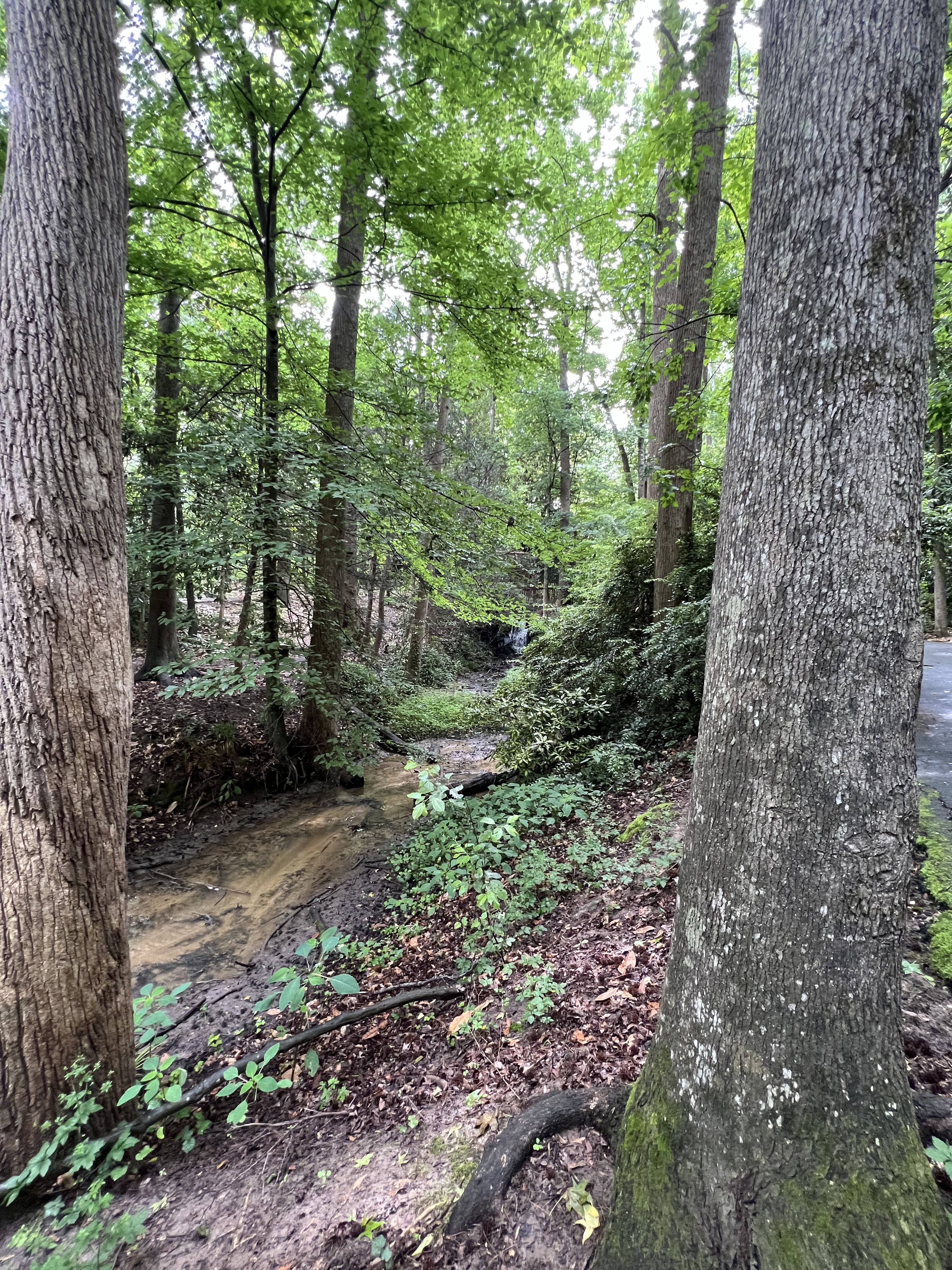 ./2024/07 - Gaffney/IMG_1508.jpg